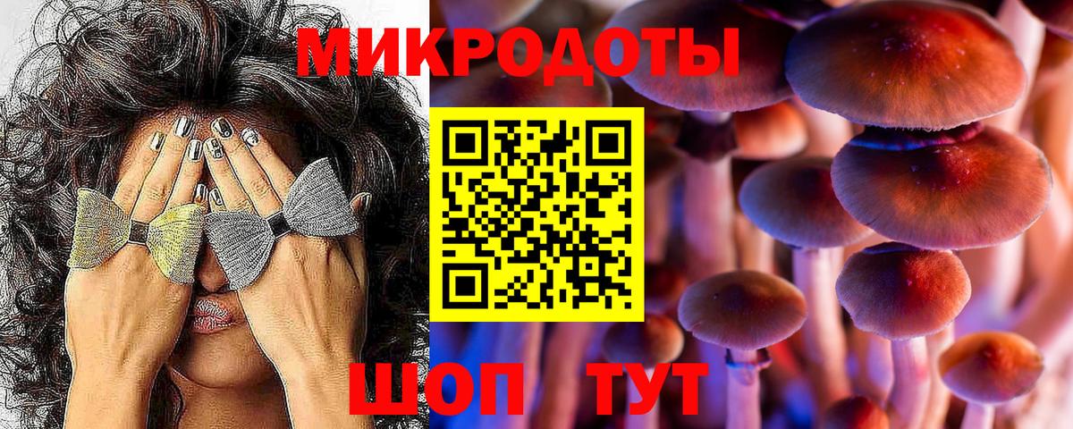 Псилоцибиновые грибы MAGIC MUSHROOMS  Галлюциногенные грибы MAGIC MUSHROOMS  что такое наркотик  Вход с VPN  Элиста 